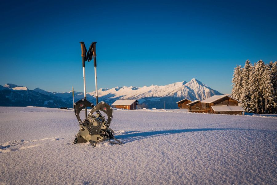 Schneeschuhe im Tiefschnee in Beatenberg