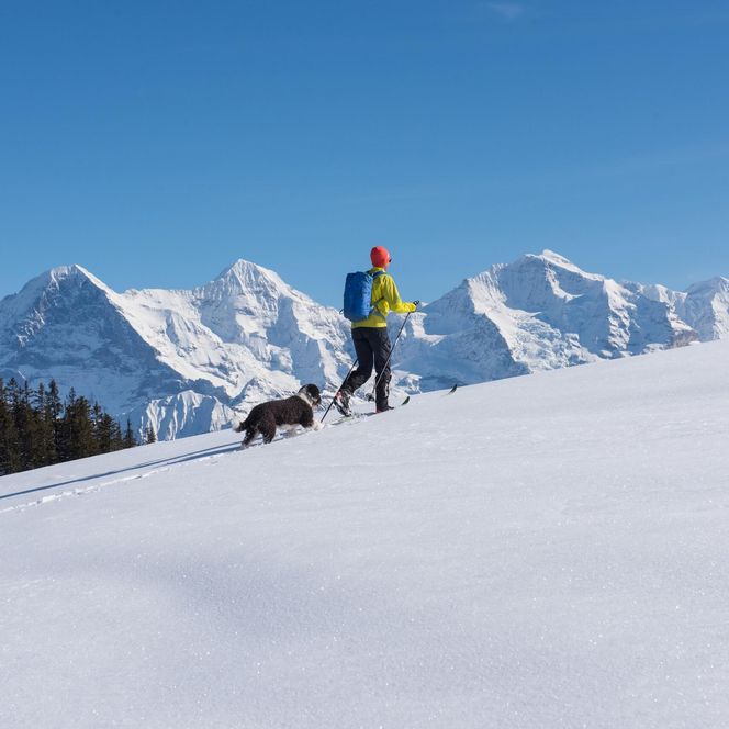 Winterexpedition mit Thomas Ulrich auf der Lombachalp