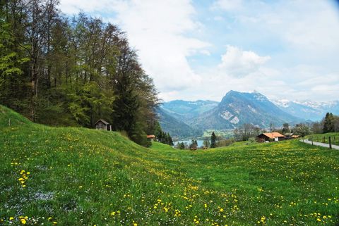 Blühende Alpwiese auf der Meielisalp mit Panormablick