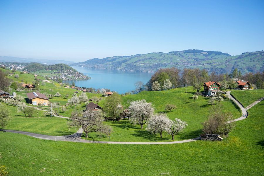 Aufblühende Natur und grandioser Ausblick in Richtung Interlaken und über den Thunersee