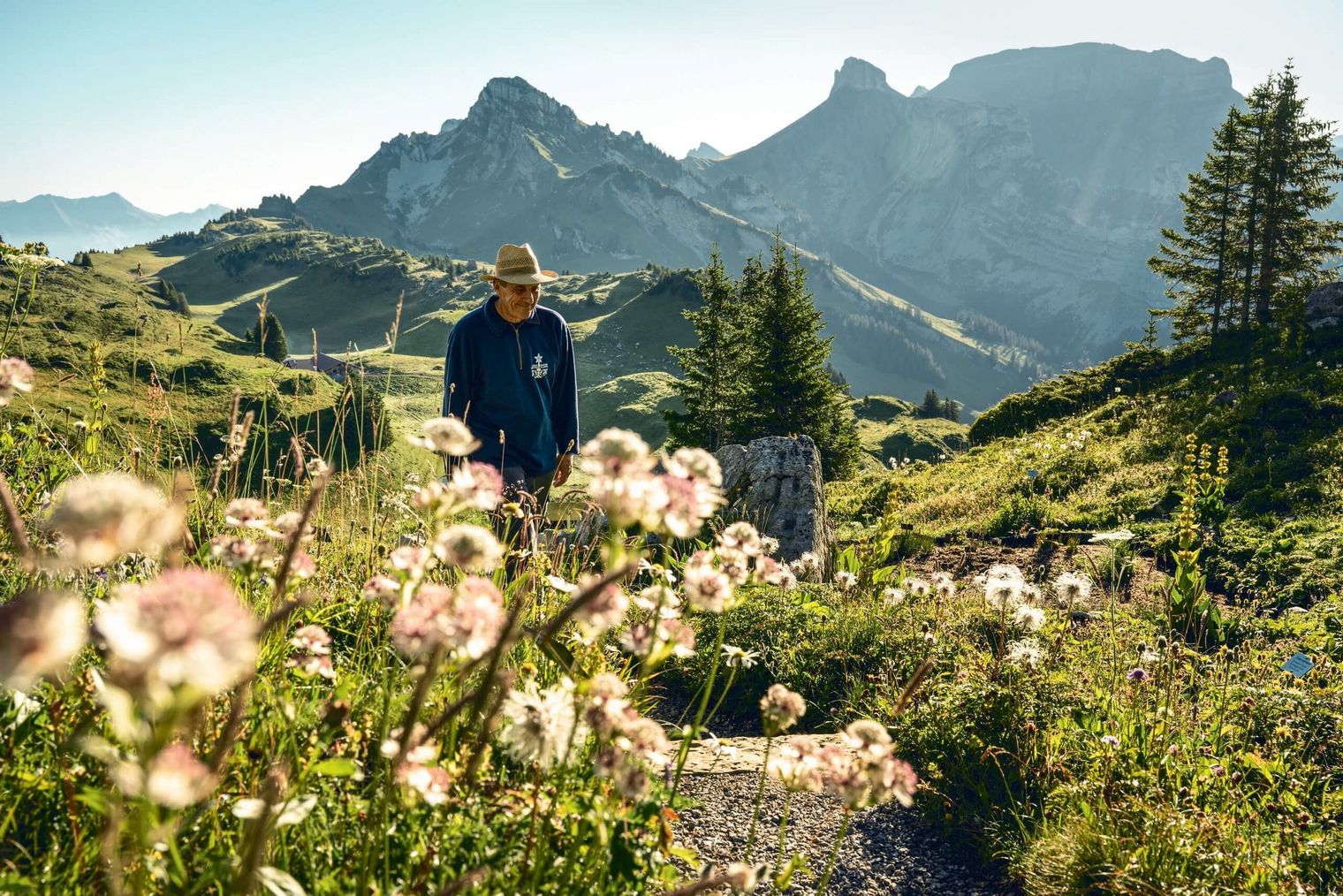 Wanderung durch den Alpengarten auf der Schynige Platte