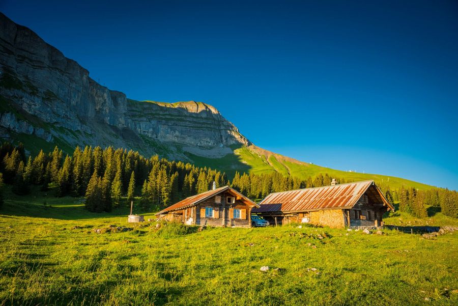Alphütten auf grüner Sommerwiese mit blauem Himmel auf der Axalp ob Brienz