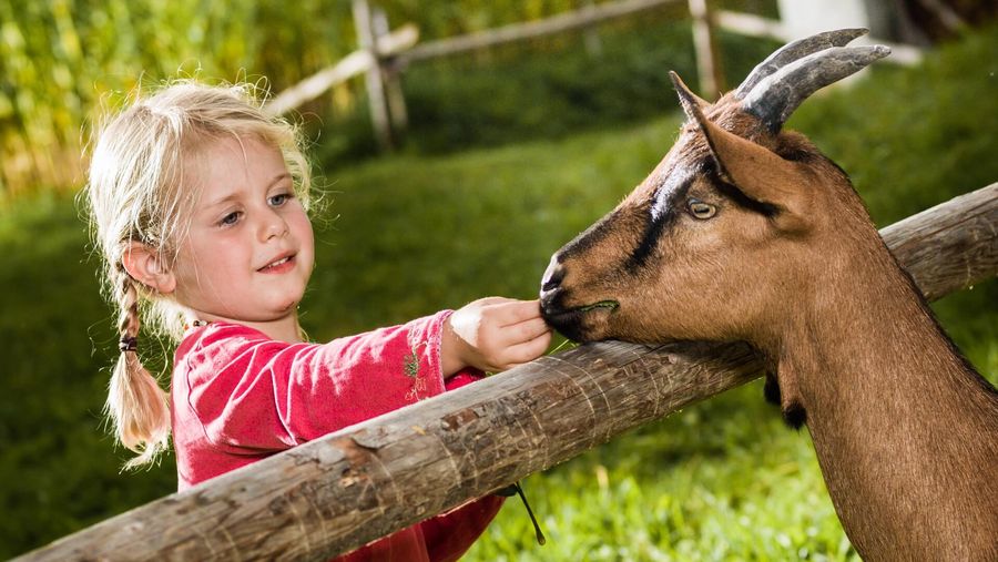Mädchen bei einer Ziege im Freilichtmuseum Ballenberg