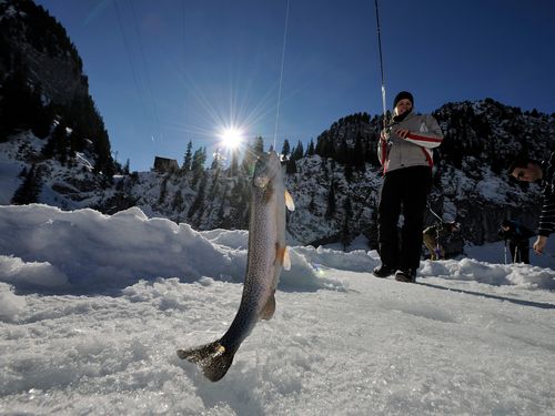 Fischer zeiht Fisch aus dem gefrorenen Hinterstockensee umgeben von Schnee