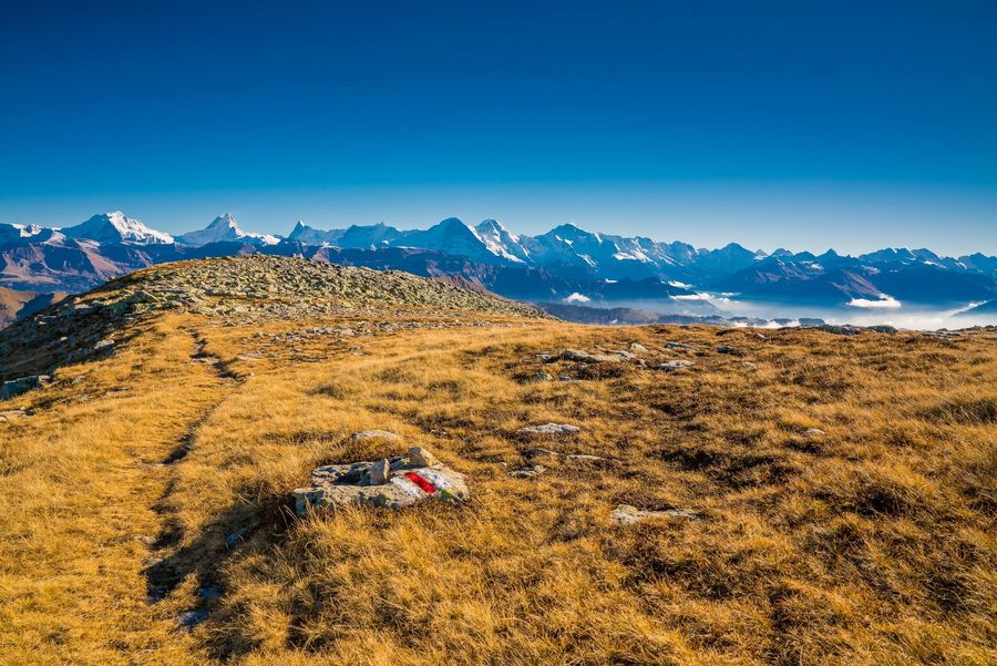 Wanderweg mit Herbstgras und Bergpanorama im Hintergrund