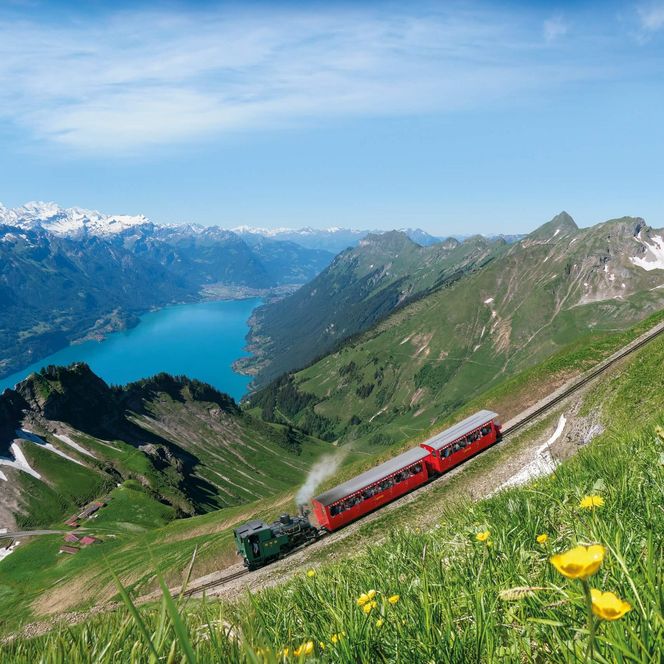 Rote Brienz Rothorn Bahn unterwegs durch Blumenwiese mit Blicka uf den Brienzersee und die umliegenden Berge